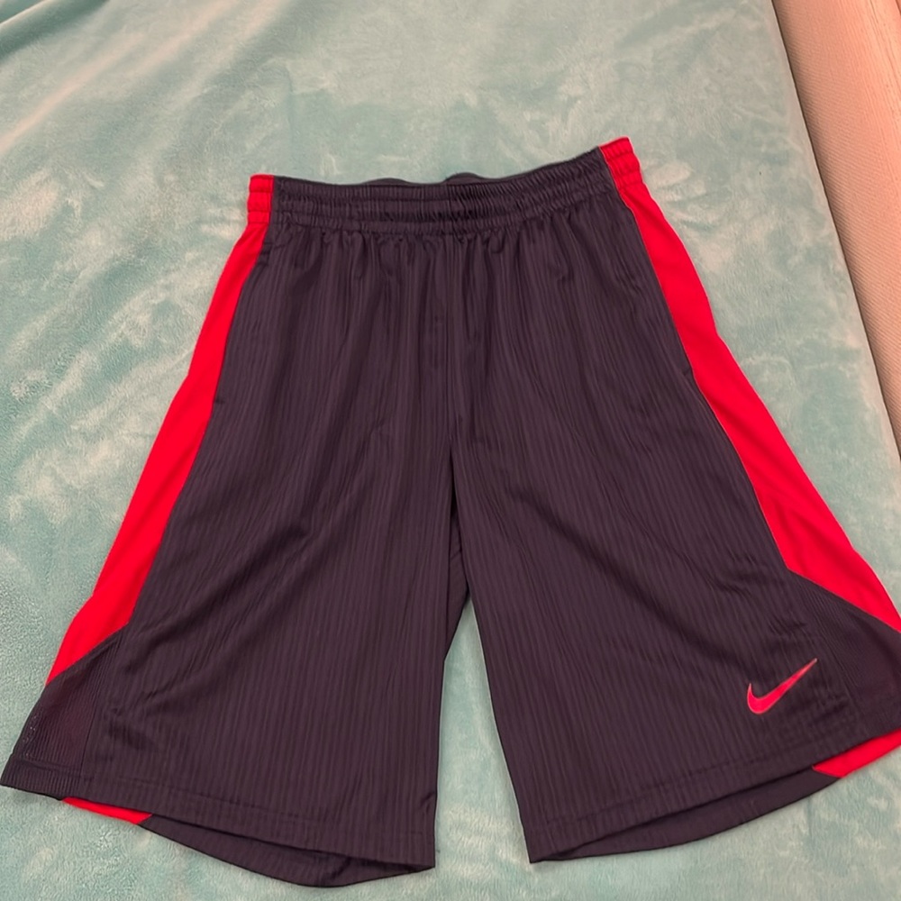 Nike men’s shorts size large